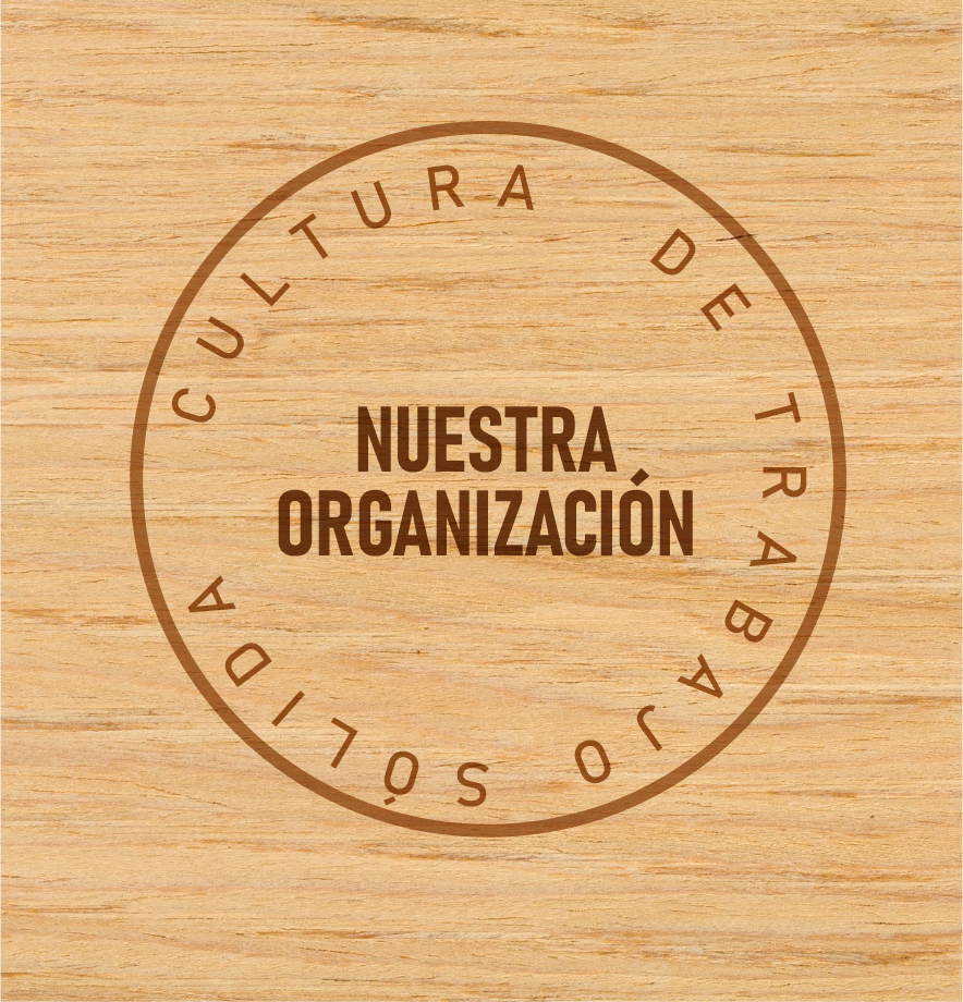 Nuestra Organización
